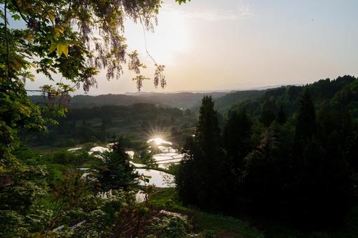 250520十日町市星峠 新潟県,十日町市,星峠の写真素材