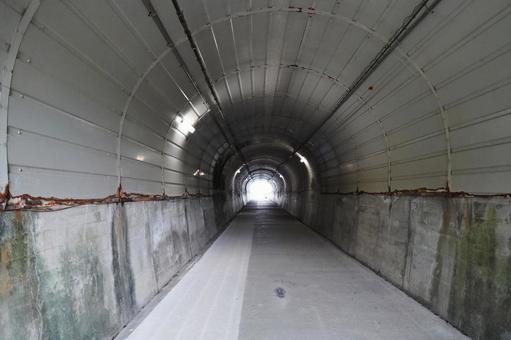 宮崎 鵜戸崎隧道2(トンネル) 宮崎 鵜戸崎隧道2(トンネル) 鵜戸崎隧道,鵜戸崎トンネル,隧道の写真素材