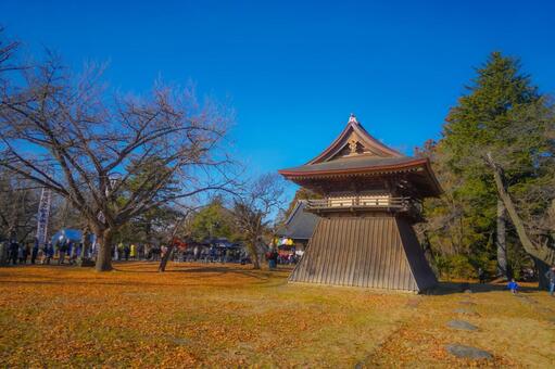 冬空に映える鐘楼 鐘楼,木造建築,落葉の写真素材
