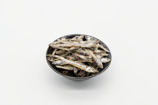 田作り（ごまめ）白背景 田作り,ごまめ,煮干しの写真素材