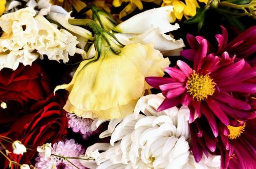 Photo, flower, petal, flower arrangement, 