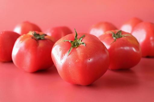 Lots of fresh tomatoes, JPG Lots of fresh tomatoes, tomato, tomato food, simple, JPG