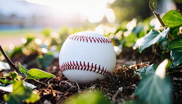 野球ボール 野球ボールの写真