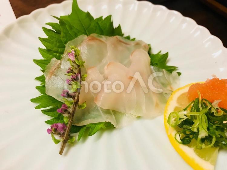 クエのお造り フード,魚,夕食の写真素材