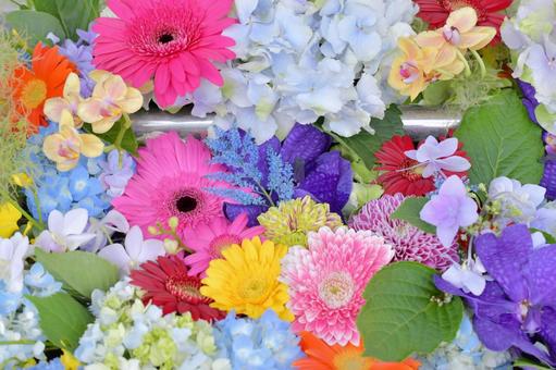 花手水 花手水の写真