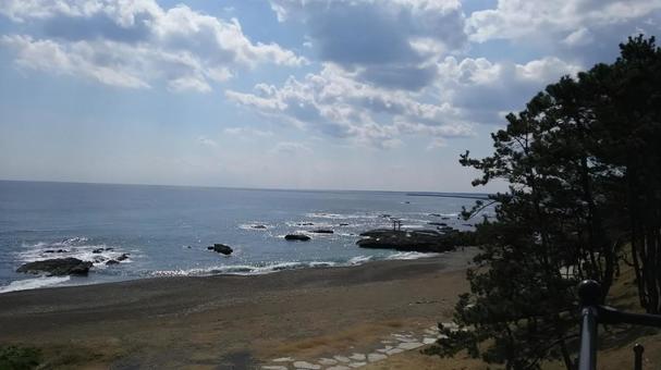 海と空と木 海,空,木の写真素材
