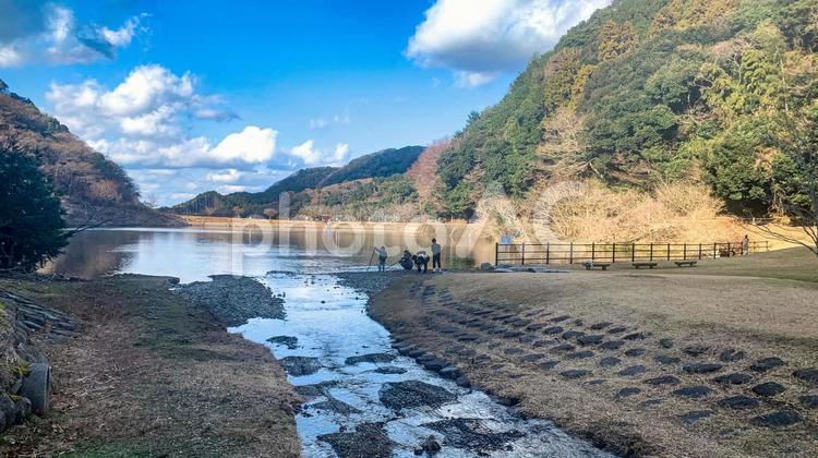 薬王寺水辺公園の風景 公園,自然,水辺の写真素材