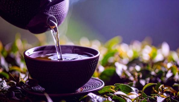 ほうじ茶 ほうじ茶の写真