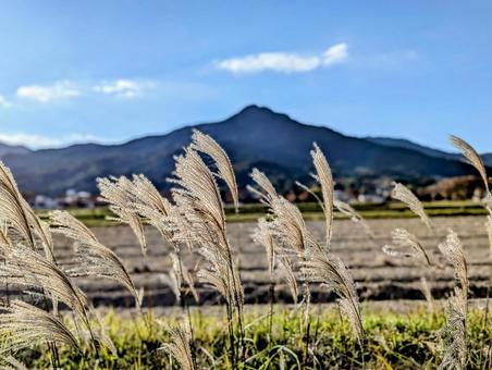 ススキと山 すすき,秋,ススキの写真素材