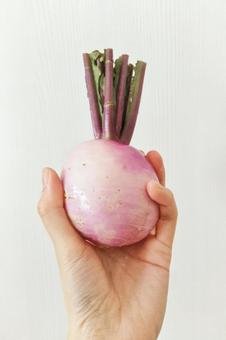 みずみずしい蕪 みずみずしい蕪の写真