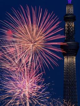 花火とスカイツリー 花火とスカイツリー 火,スカイツリー,東京の写真素材
