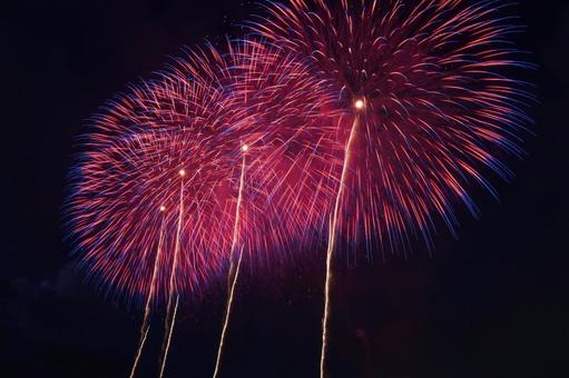 長岡花火2025 長岡花火,2025,長岡の写真素材