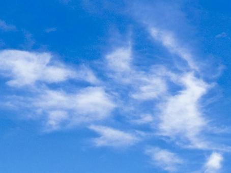 【風景写真】夏空の写真