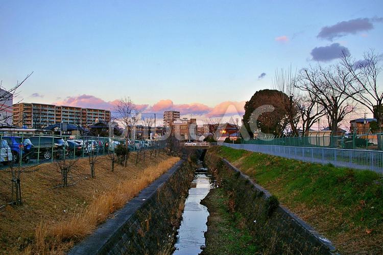 水路のある街の夕景 夕景,水路,正雀川分水路の写真素材