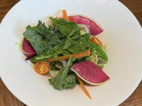 サラダ サラダ 野菜作り,野菜づくり,栽培の写真素材