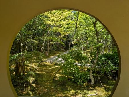 円通院 円通院 松島,松島海岸,円通院の写真素材