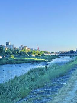 鴨川 鴨川 自然,鴨川,京都の写真素材