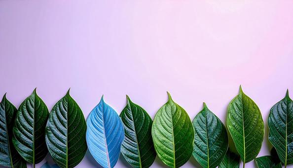 緑の葉が並んだ壁紙2 緑の葉が並んだ壁紙2の写真