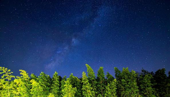 七夕 笹 天の川 七夕 笹 天の川の写真