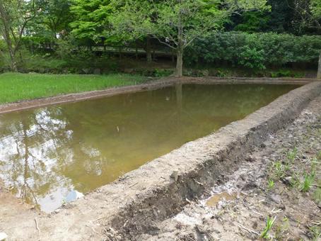 郊外の公園にて夏に向けて準備中の蓮池 郊外の公園にて夏に向けて準備中の蓮池の写真