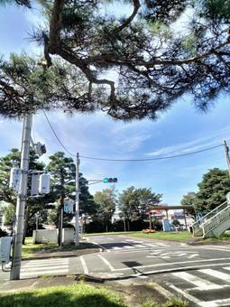 青空を背景にした交差点の風景 青空を背景にした交差点の風景 交差点,街,都市の写真素材