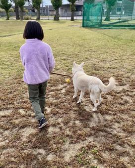 仲良く朝のお散歩 お散歩,犬,子供の写真素材