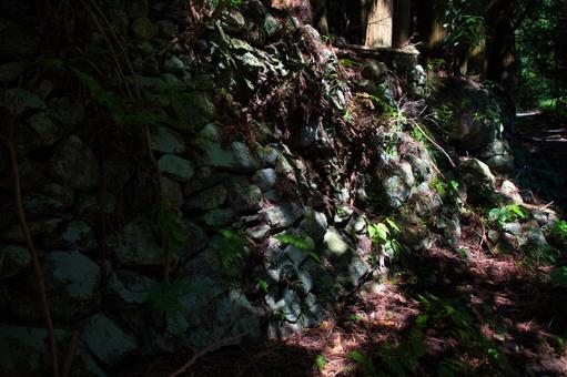 木漏れ日に照らされる石垣 木漏れ日に照らされる石垣の写真