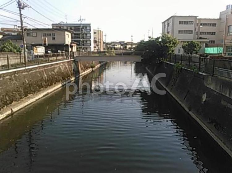 用水路 川,用水路,坂川の写真素材