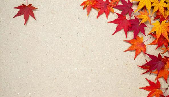 コルクボード隅に紅葉背景 コルクボード隅に紅葉背景の写真