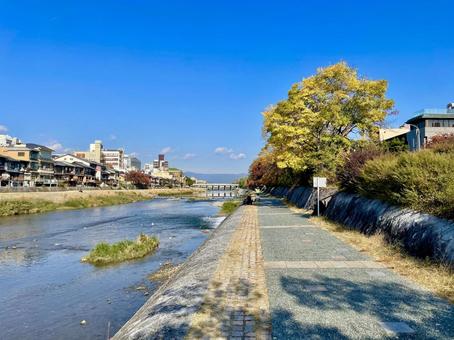 秋の京都鴨川三条河原 三条河原,三条,四条の写真素材
