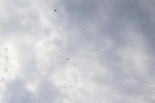 雲の多い空　太陽　空のみ　トンボ 空,雲,雲が多いの写真素材