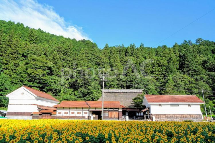 中山間地域・益田市匹見の美濃地屋敷 匹見,中山間地域,益田の写真素材