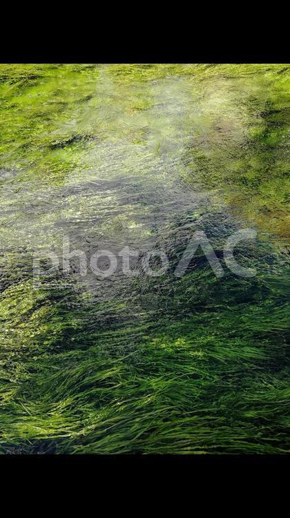 絵画のような川 バックグランド,水域,自然の写真素材
