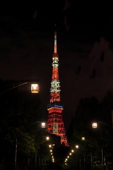 夜の東京タワー 夜の東京タワー 東京タワー,夜景,夜の写真素材