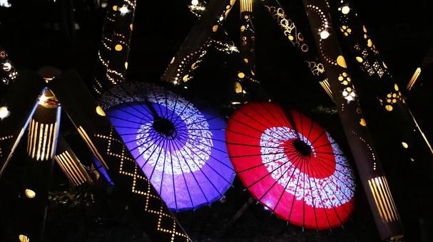 虹の郷　竹灯りと和傘アート ライトアップ,夜景,秋の写真素材