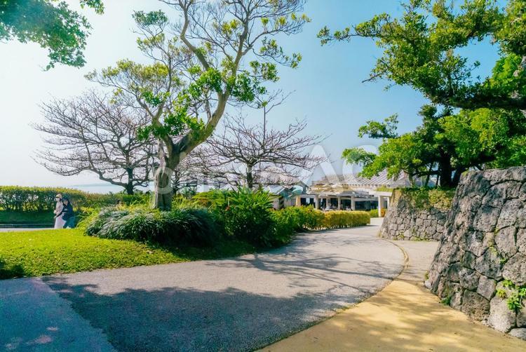 【沖縄】美ら海水族館 沖縄,美ら海,水族館の写真素材