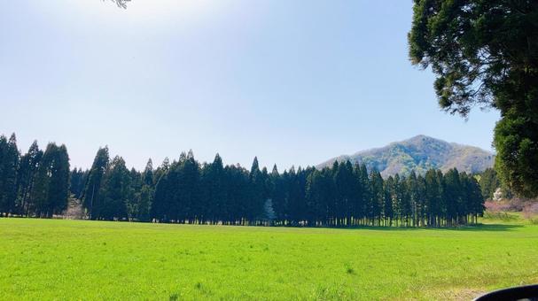 快晴の草原 草原,自然,風景の写真素材