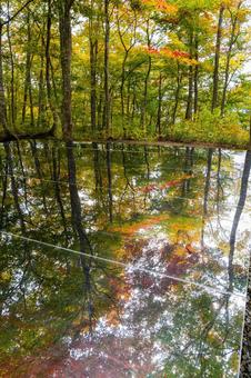 秋の空気神社⑸ 空気神社,モニュメント,空気の写真素材