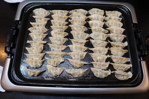 ホットプレートにいっぱいのギョウザ ホットプレートにいっぱいのギョウザ ギョウザ,餃子,パーティの写真素材
