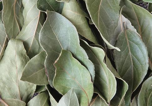 ドライハーブ　ローリエ　月桂樹の葉5 ローリエ,月桂樹の葉,ハーブの写真素材