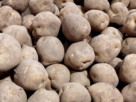 野菜・ジャガイモ ジャガイモ,ポテト,野菜の写真素材