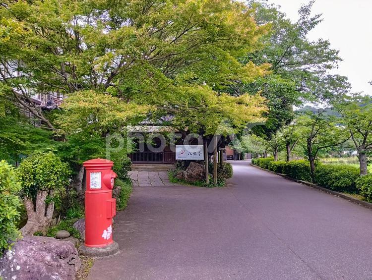 文壇の愛した 八鶴亭,文豪,文壇の写真素材