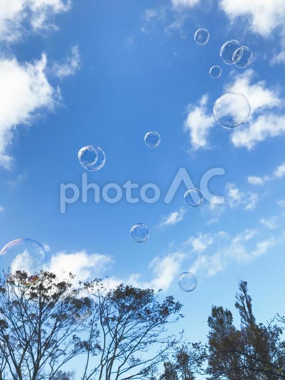青空としゃぼん玉 青空,空気,しゃぼん玉の写真素材