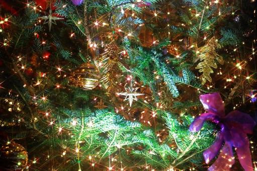 幻想的なイルミネーション 幻想的なイルミネーション 幻想的,クリスマス,ツリーの写真素材