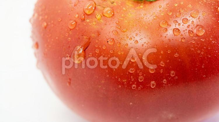 水が滴る完熟トマト トマト,完熟トマト,野菜の写真素材