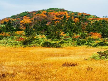 紅葉の栗駒山(須川岳) 紅葉の栗駒山(須川岳)の写真