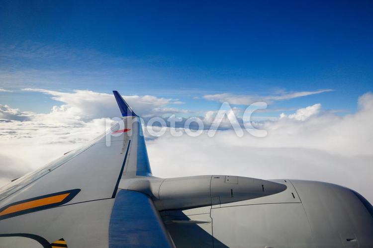 飛行機の翼とどこまでも続く雲海 空,雲,雲海の写真素材