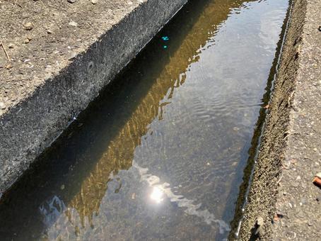 きれいな水を田んぼへ導く用水路 きれいな水を田んぼへ導く用水路の写真