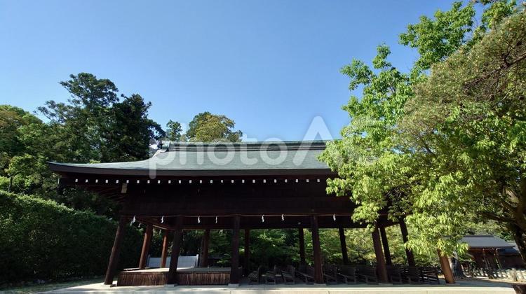 奈良県-橿原神宮-土間殿 橿原神宮,神社,土間殿の写真素材