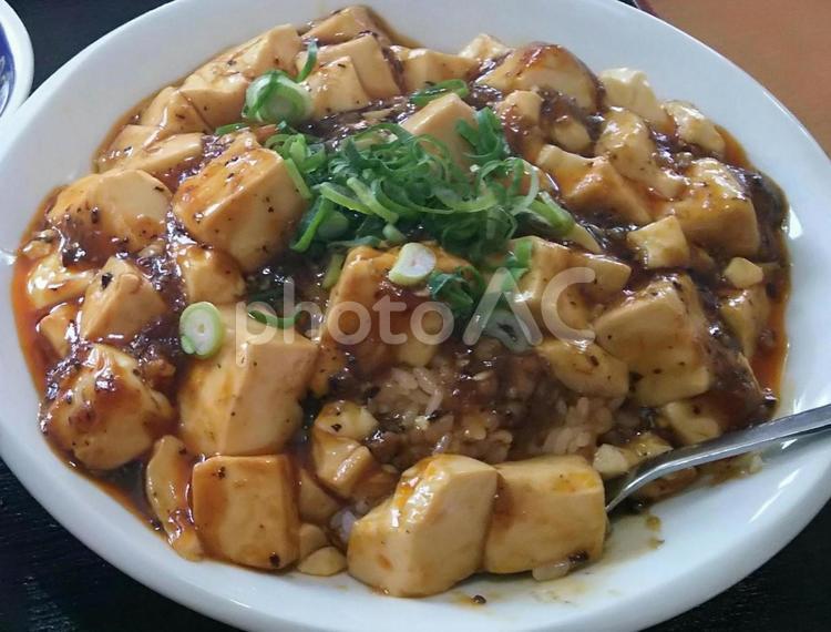 マーボー丼 マーボー丼,麻婆丼,麻婆豆腐の写真素材